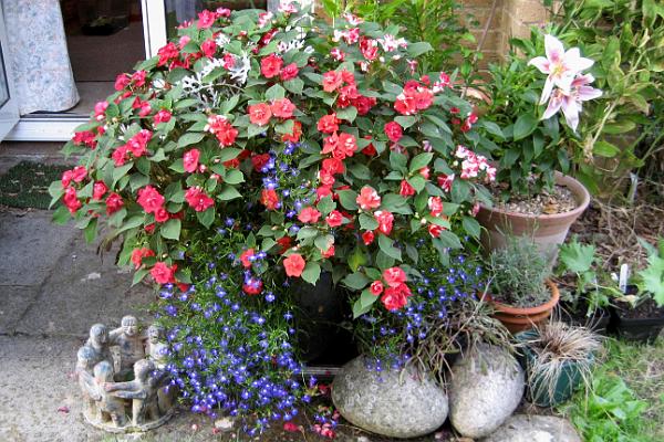 Anne Bonwick came second with her planter.jpg